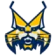 HK Spisska Nova Ves logo