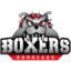 Boxers de Bordeaux logo