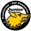 HC Pustertal logo