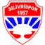 Silivrispor logo