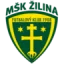 Žilina U19 logo