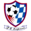 CSL Stefanesti logo