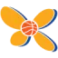 Triglav Vadoli Kranj (W) logo