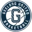 Geelong Venom (W) logo